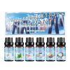 JUE FISH Scented Home Fragrance Essential Oil Set, 6 x 10 ml